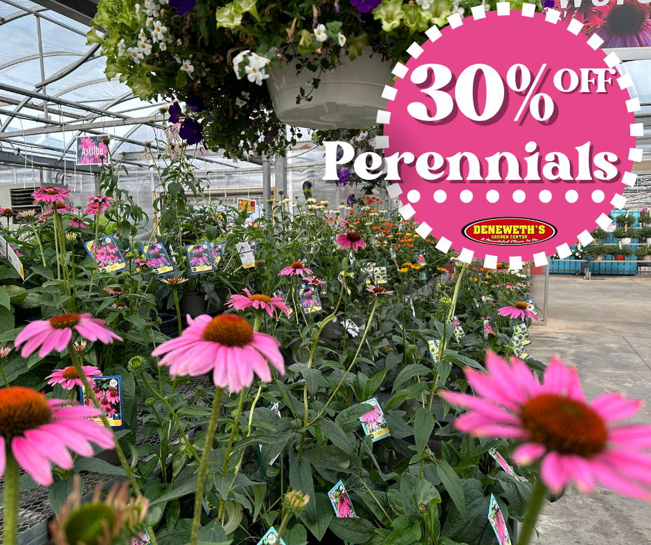30% off Perennials