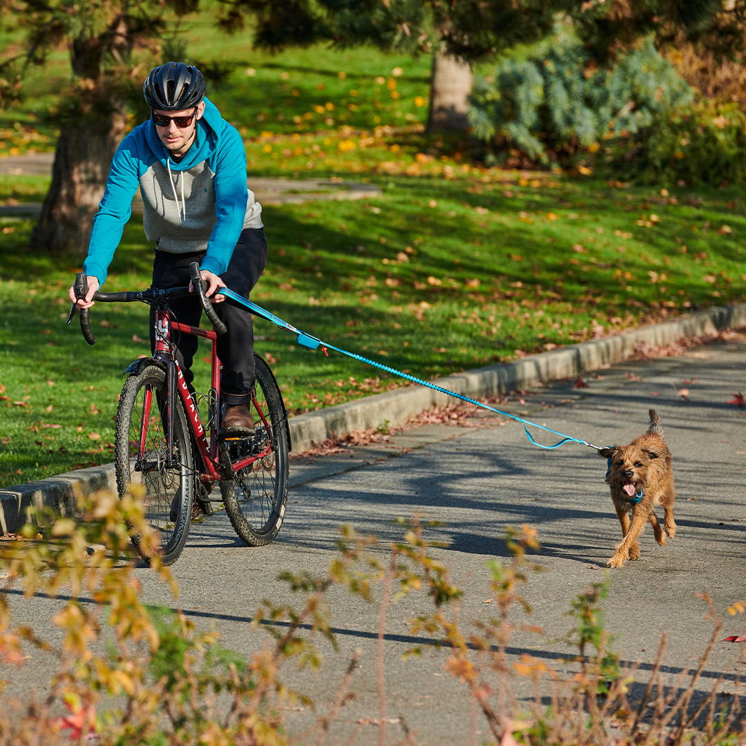 Bike ride with dog