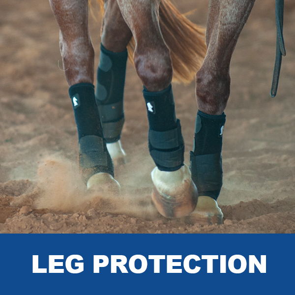 Horse legs wearing protective gear on a dusty surface.