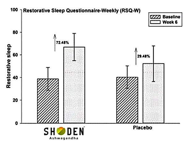 Shoden Ashwagandha Sleep Study Questionnaire