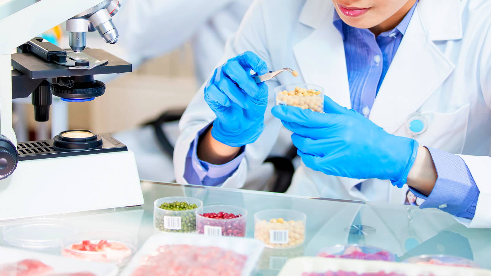 Woman in lab coat holding a dish with gloved hands. Various foods and a microscope are on the table in front of her. Photo for article, 'Advancing Cellular Agriculture'