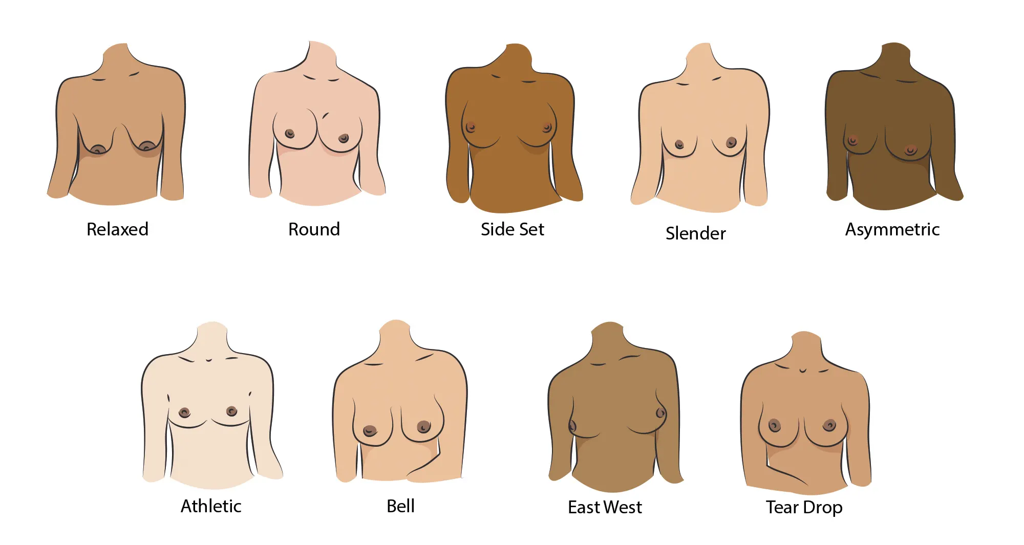  infographic depicting different breasts shapes