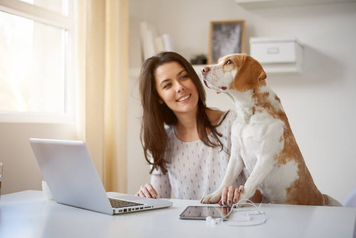 lady by her dog and laptop