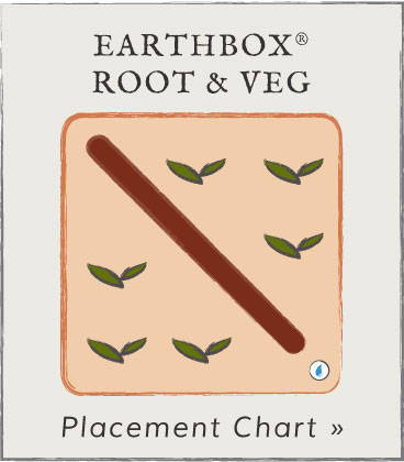 View EarthBox Root & Veg crop placement chart PDF, opens in new window