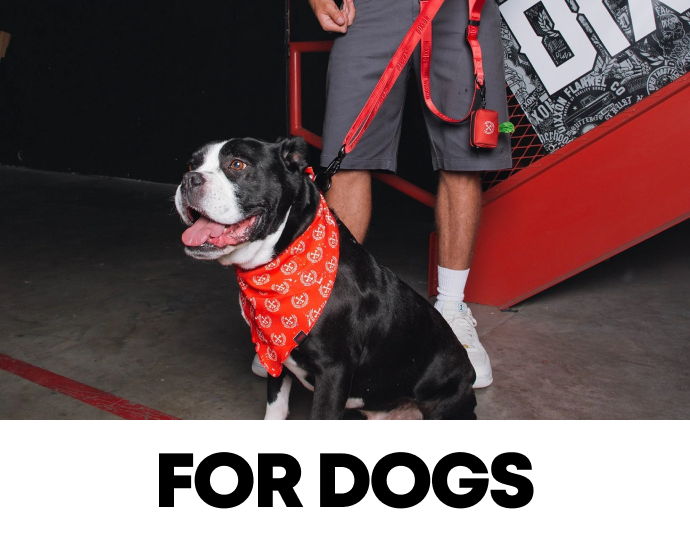 Gifts For Dogs