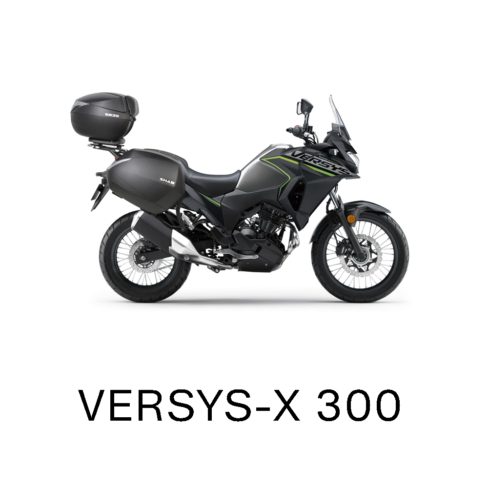 VERSYS-X 300