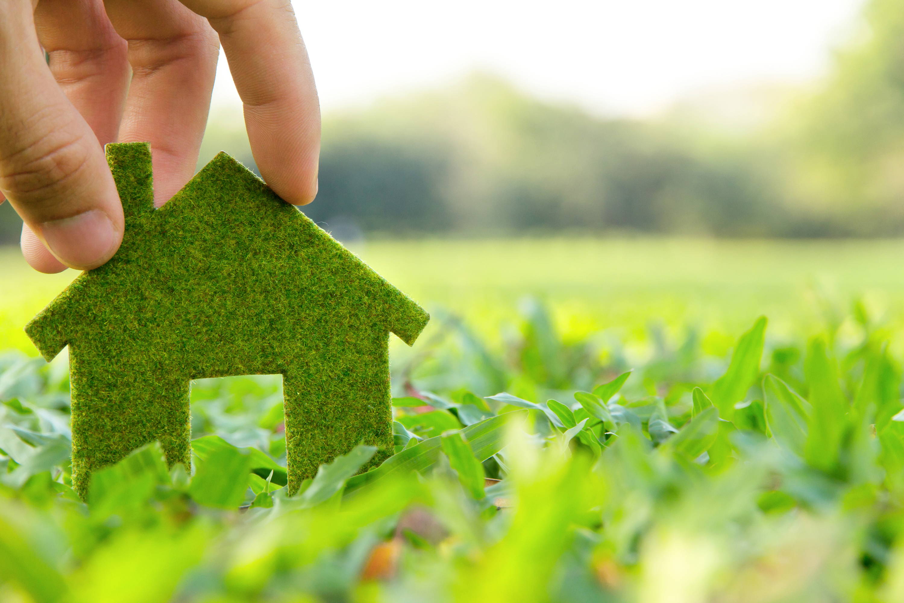 An image of home logo made out of green grass