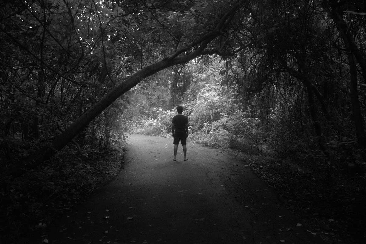 A person in a thick forest standing in the light