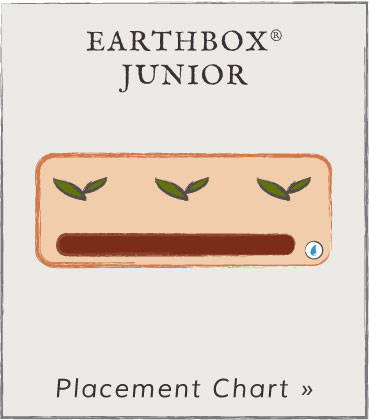 View EarthBox Junior crop placement chart PDF, opens in new window