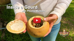 Watch Inside a Gourd with Phoebe Welburn