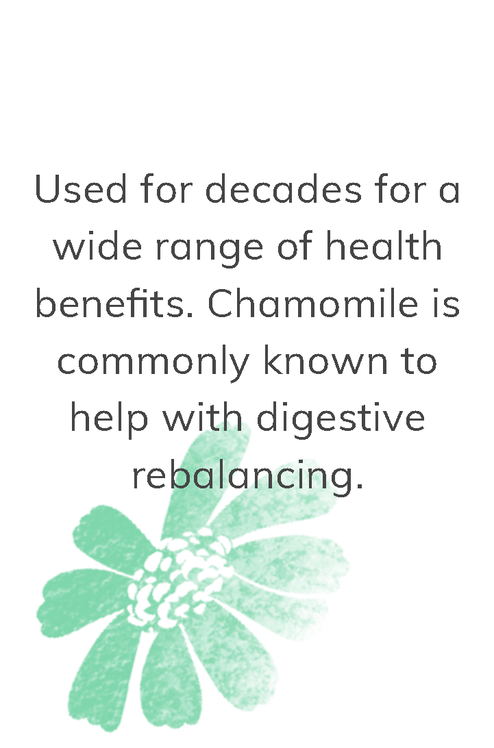 Organic Chamomile: Used for decades for a wide range of health benefits. Chamomile is commonly known to help with digestive rebalancing.