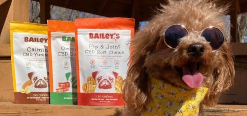 Funny image of a happy dog wearing glasses posing with a variety of Bailey’s CBD treats.