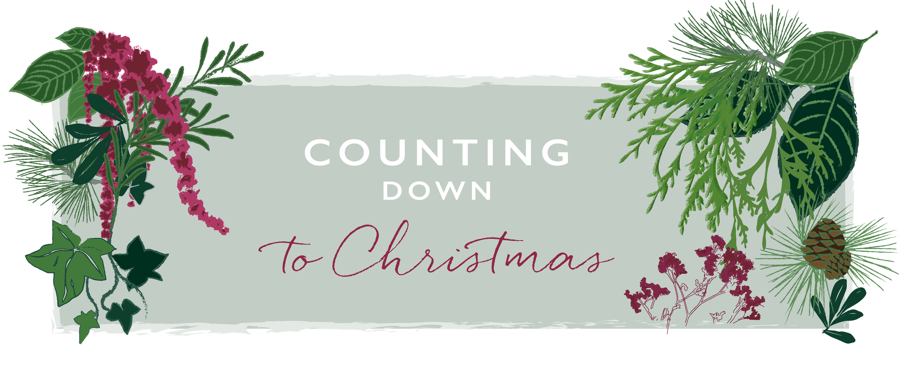 Counting down to Christmas
