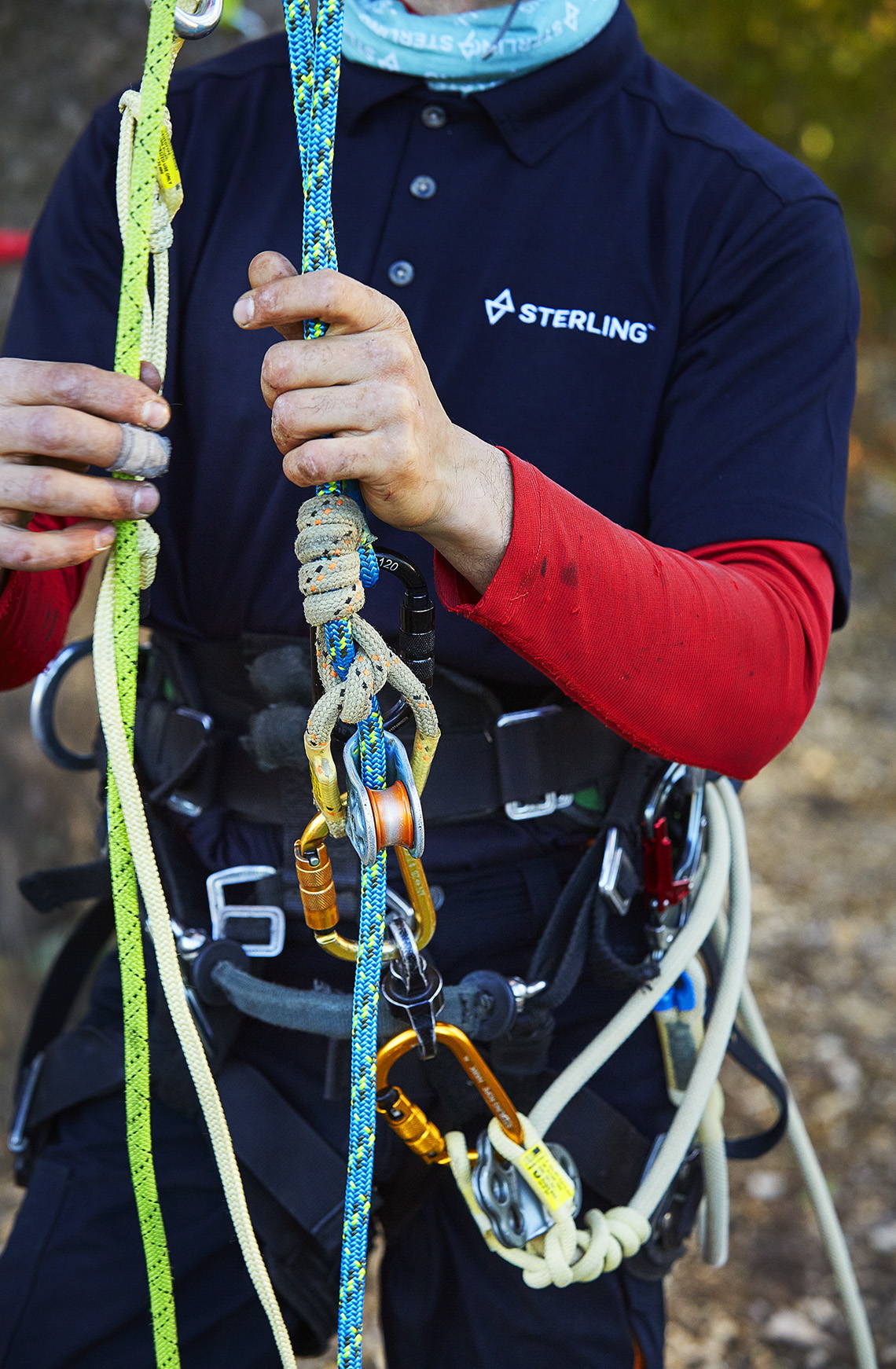 Product Feature: Scion Arbor Climbing Line 