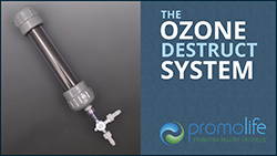 Ozone Destruct System