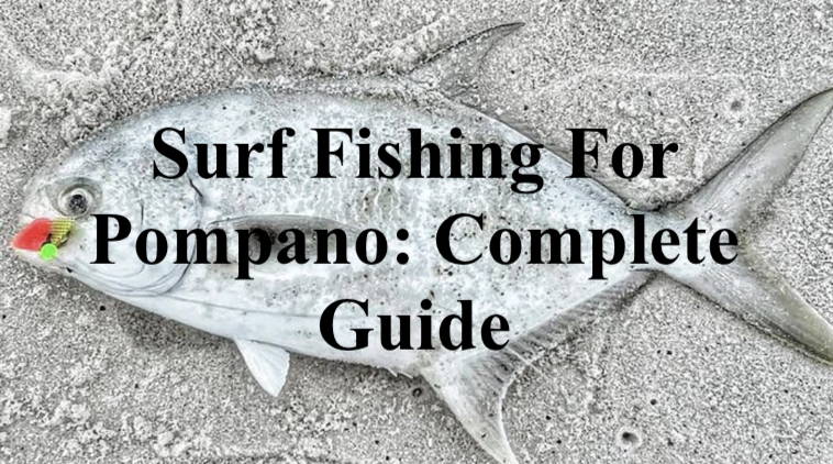 Surf Fishing For Pompano