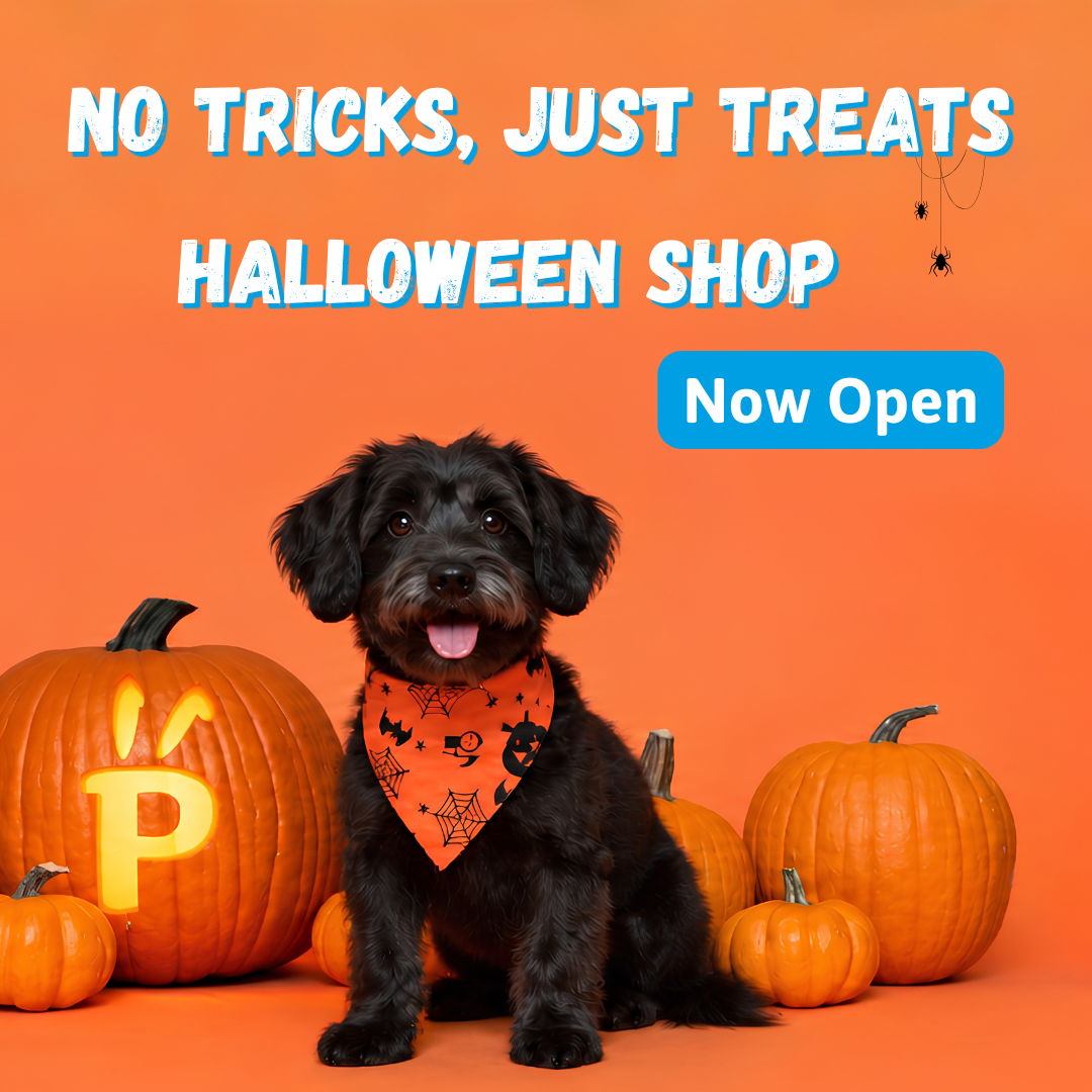 Halloween at Petstop