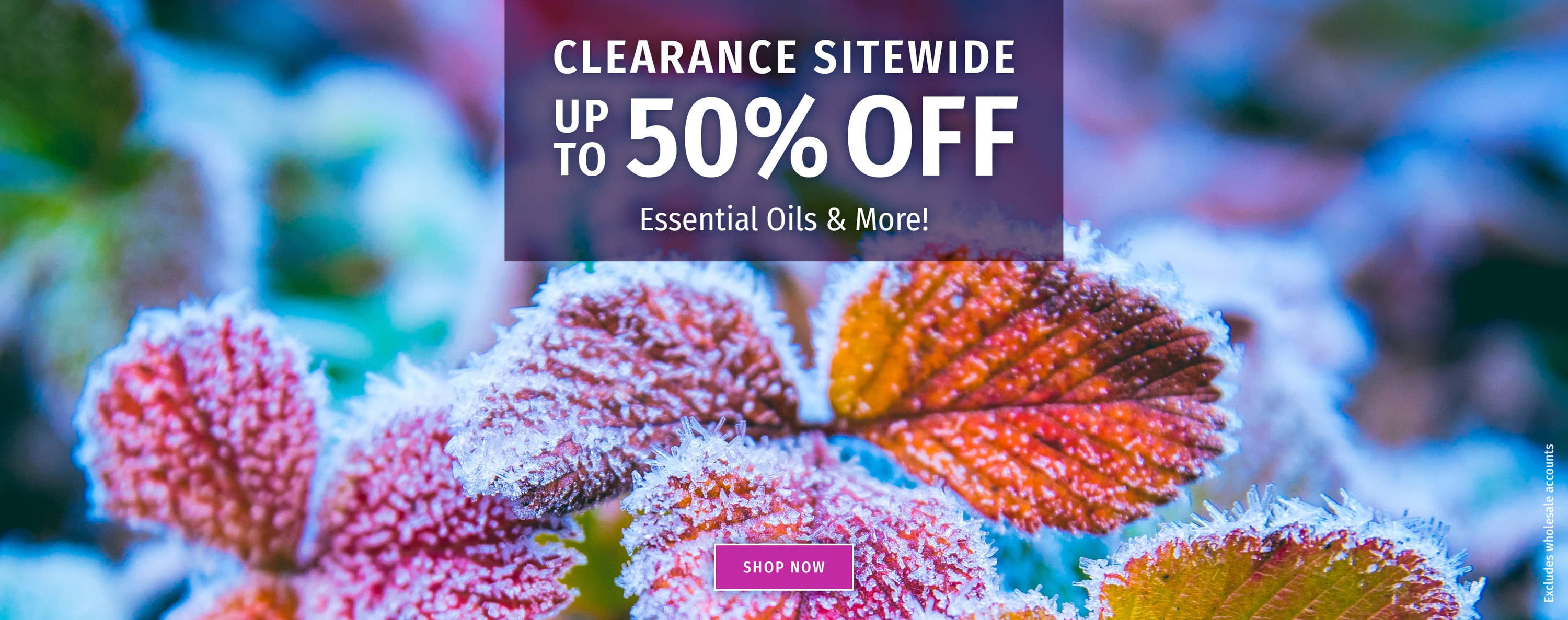 Snow and leaves, Clearance, up to 50% off