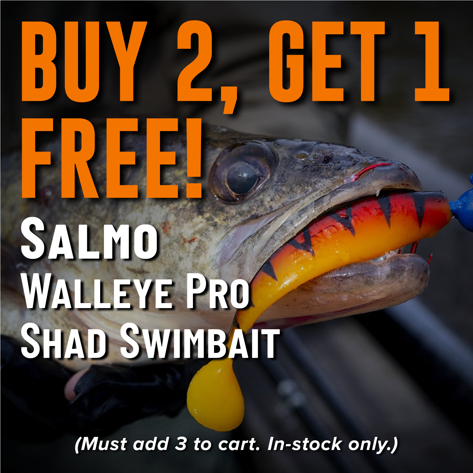 Buy 2, Get 1 Free! Salmo Walleye Pro Shad Swimbait (Must add 3 to cart. In-stock only.)