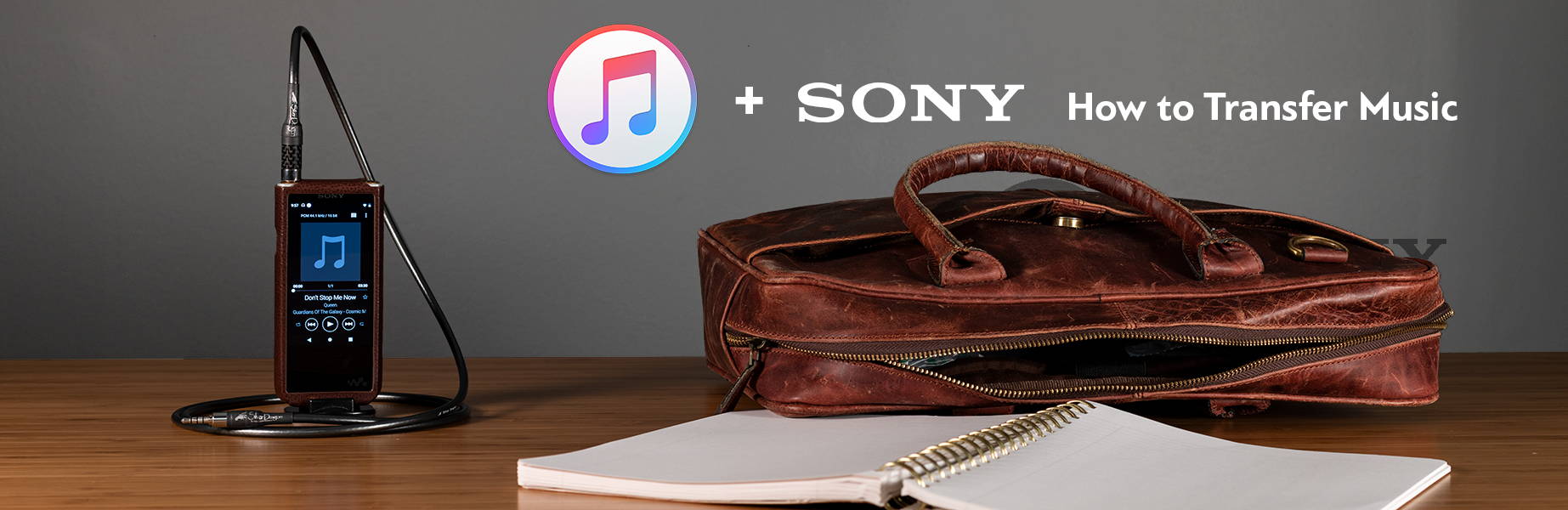 Sony DAPS + iTunes Banner