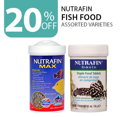 20% off Nutrafin Fish Food