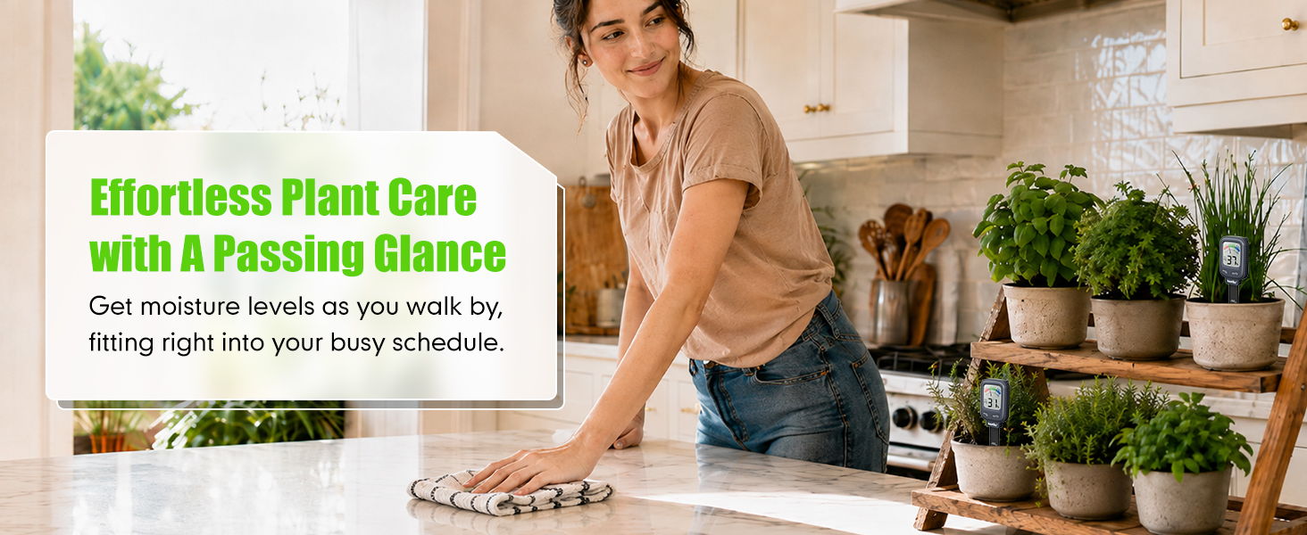 Woman cleaning a kitchen counter with potted plants in the background.