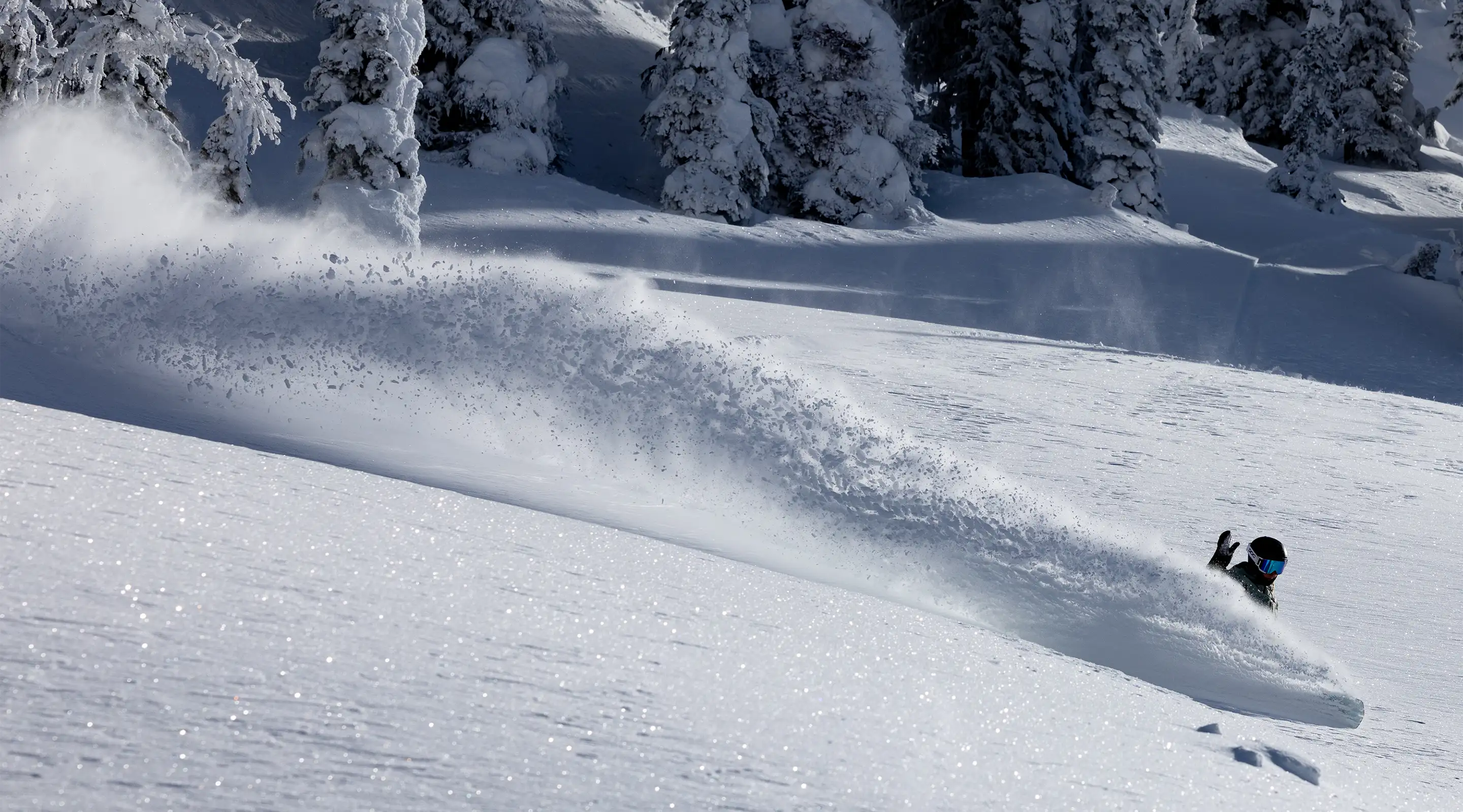 Person snowboarding down a snowy slope with trees in the background.