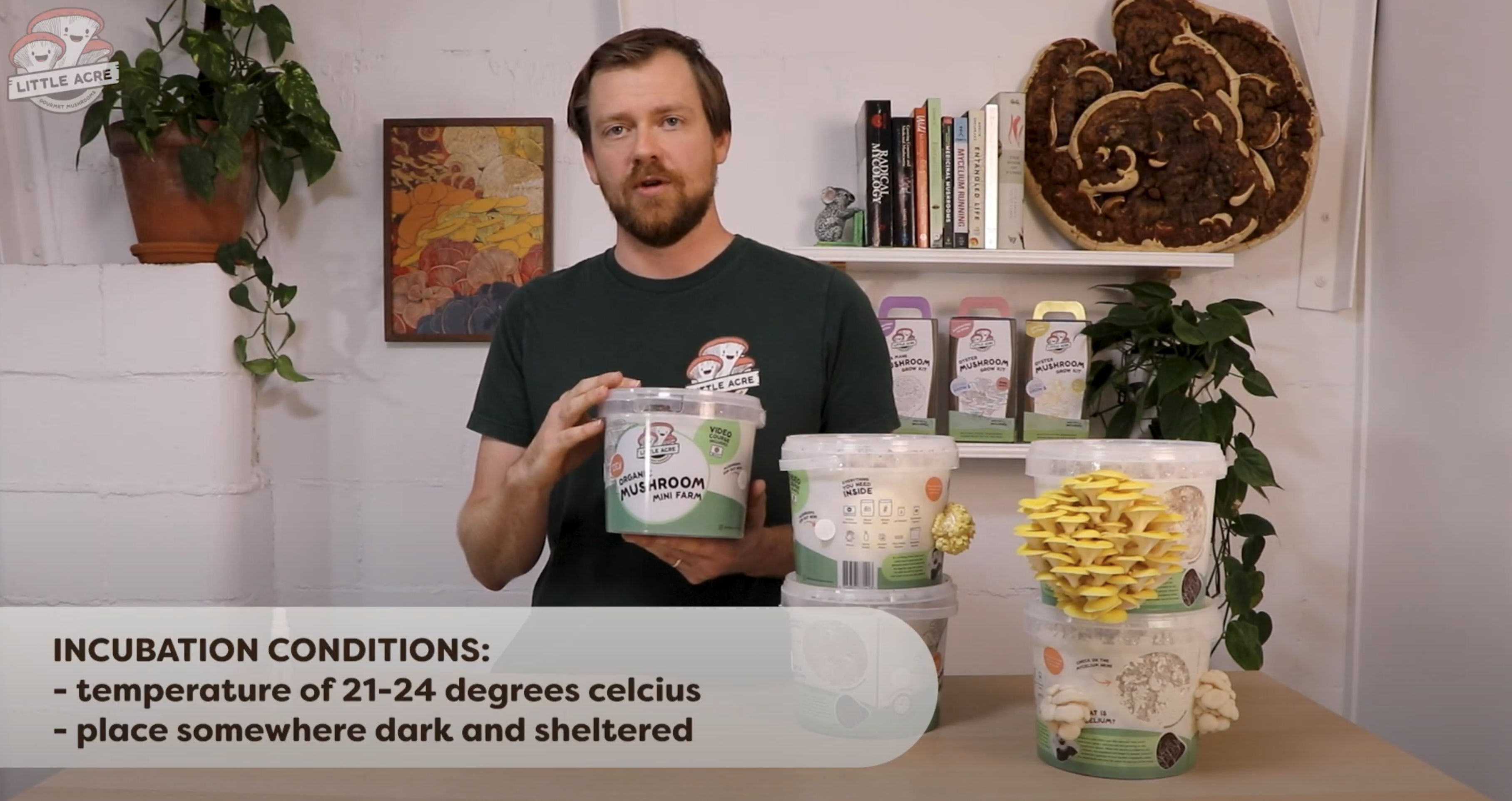 Incubation conditions