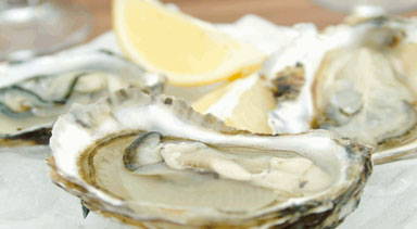 Oysters and Lemon Wedge