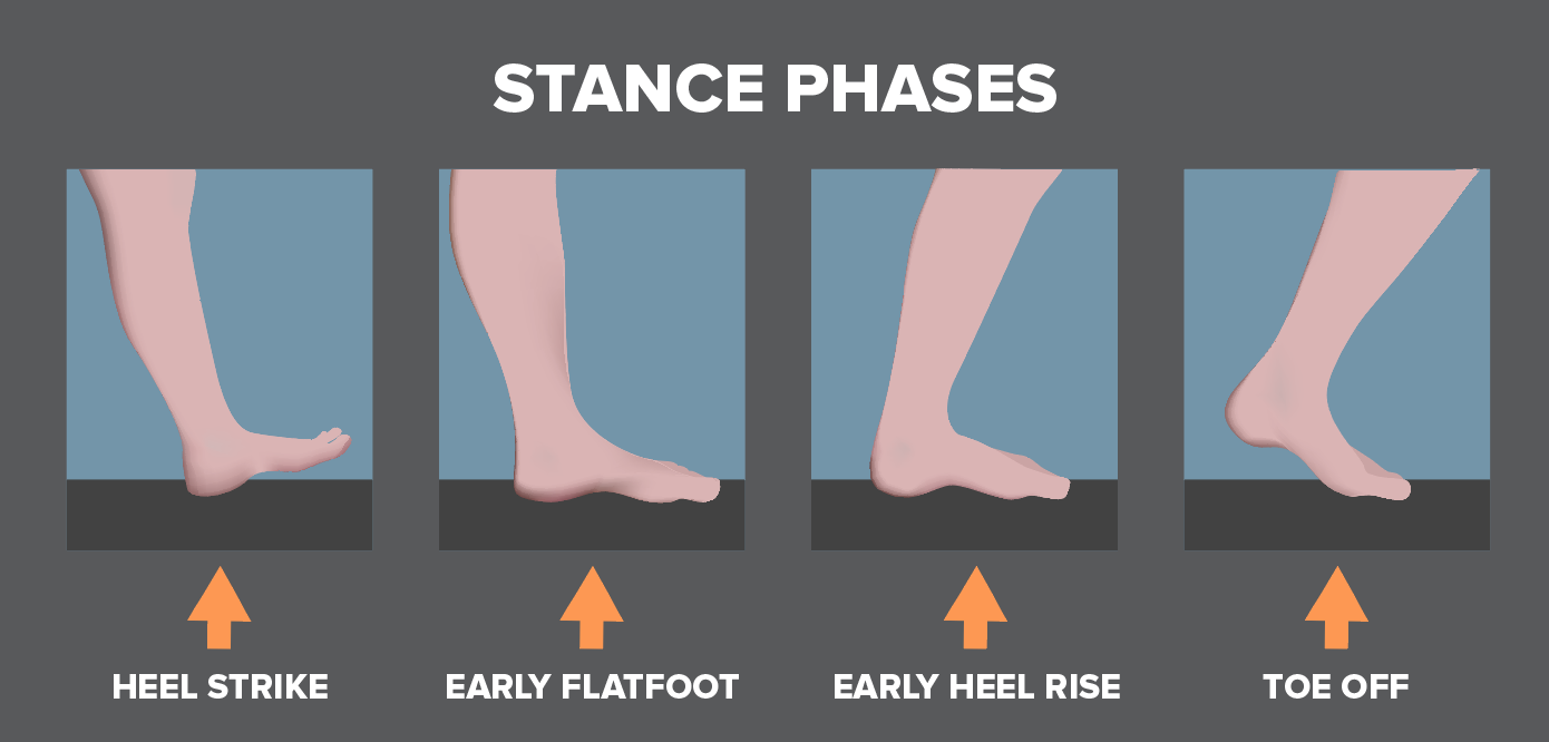 stance phases of running