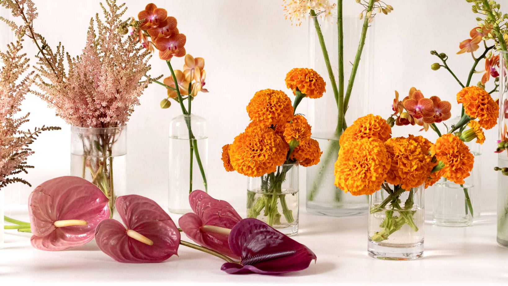 Assortment of Orange and Pink Florals