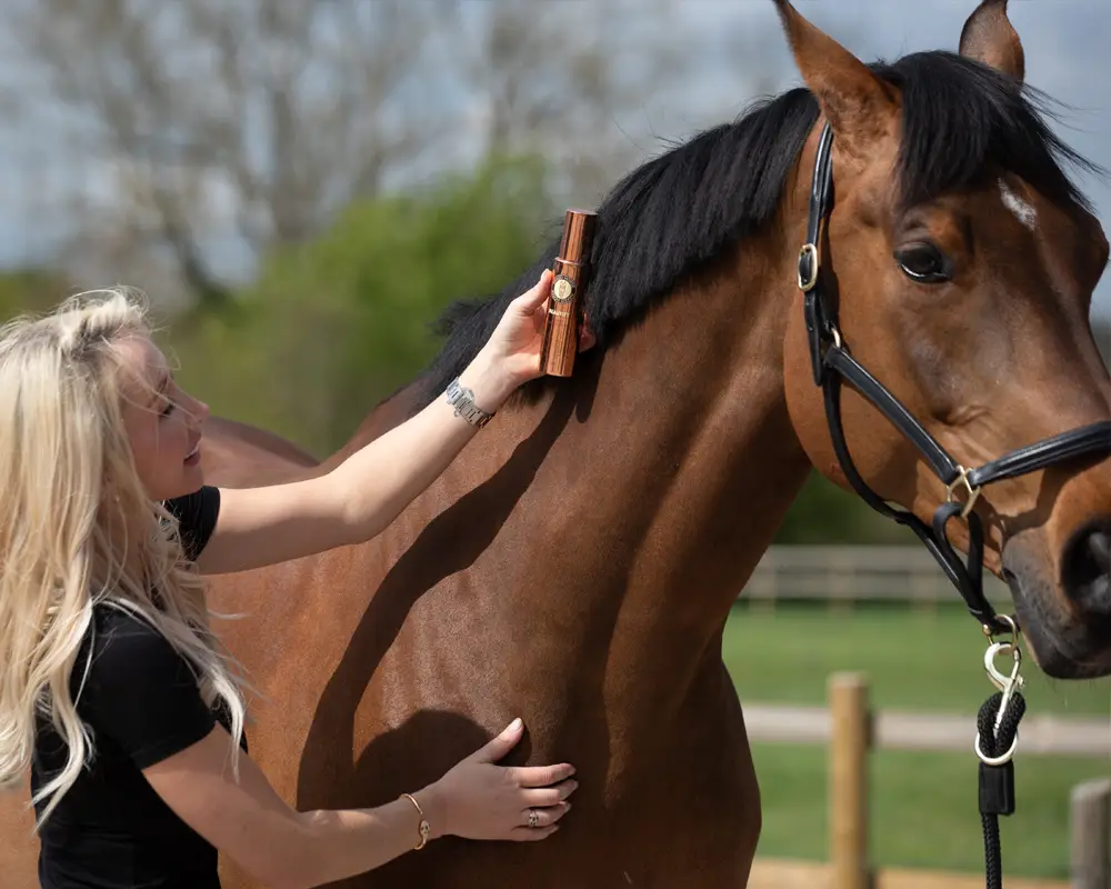 Can I Use Beautify on My Horse in the Sun?