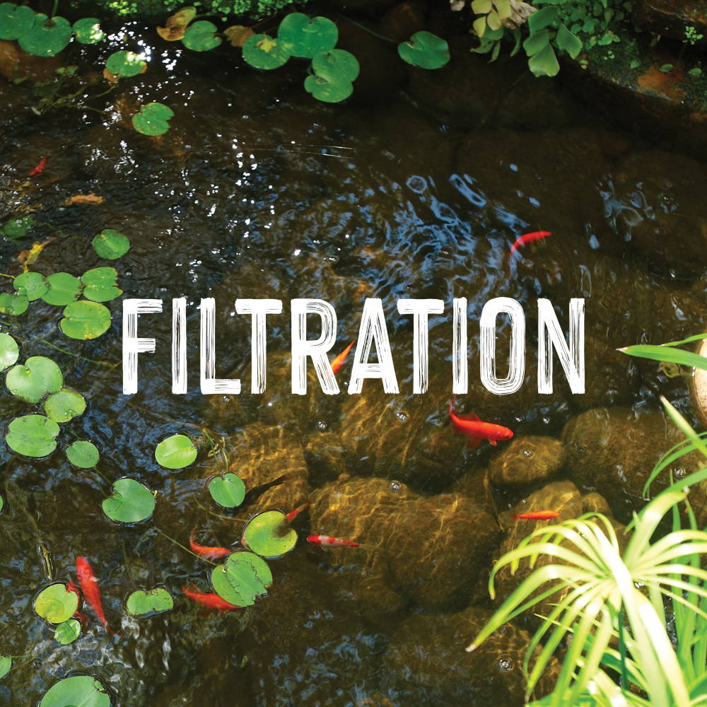 learn about filtration
