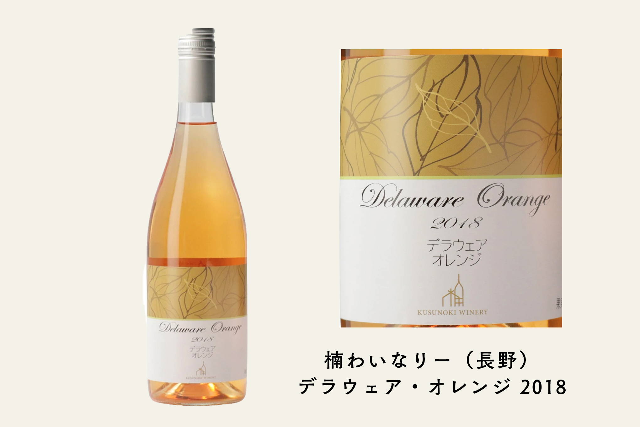 掛川さんセレクト④　価格帯にそぐわないほど長いタンク熟成期間を経た、オレンジワインの逸品