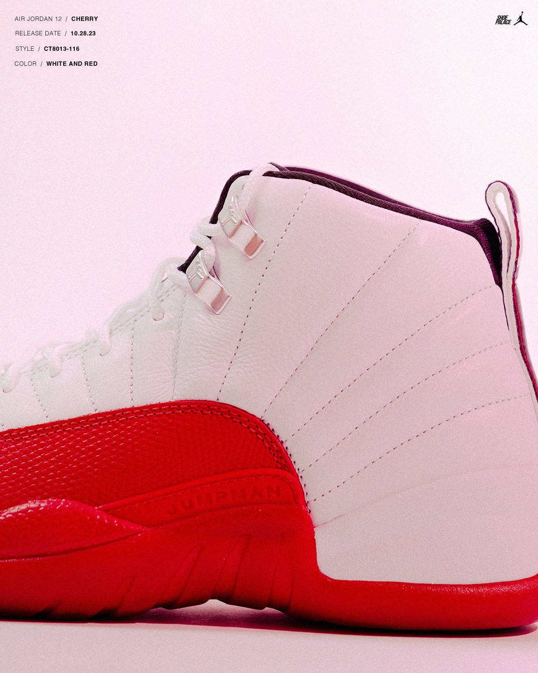 Air Jordan 12 “Cherry” 5