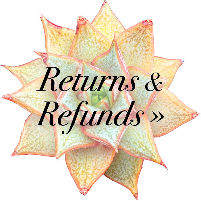 Returns & Refunds