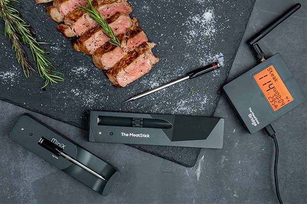 Upgrade to MeatStick WiFi Pro Set for The Grill Master