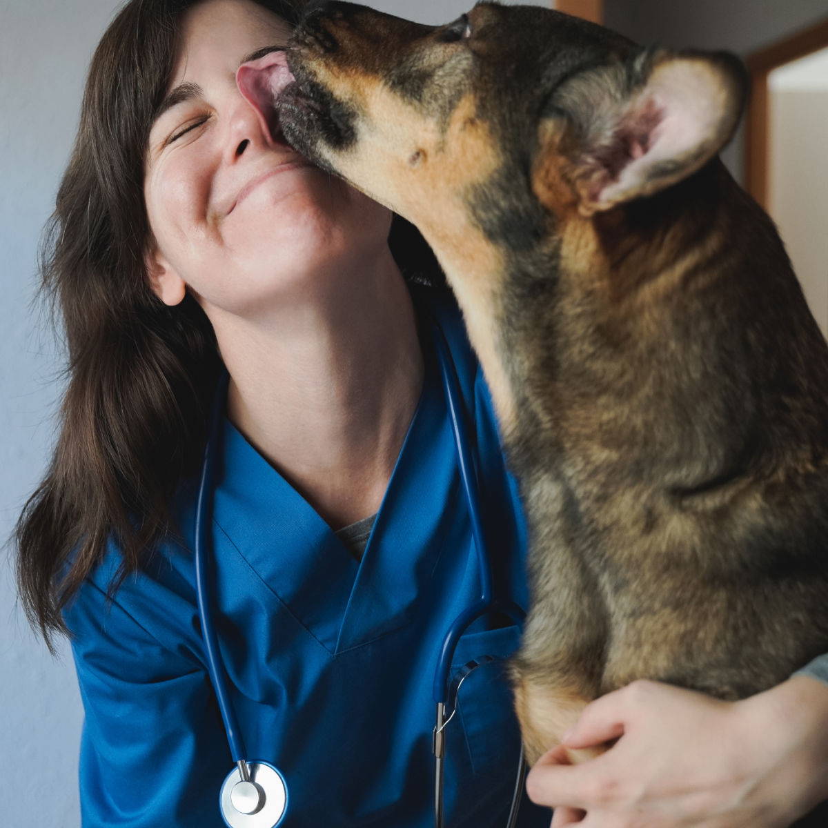 A veterinarian interacting with a dog. 