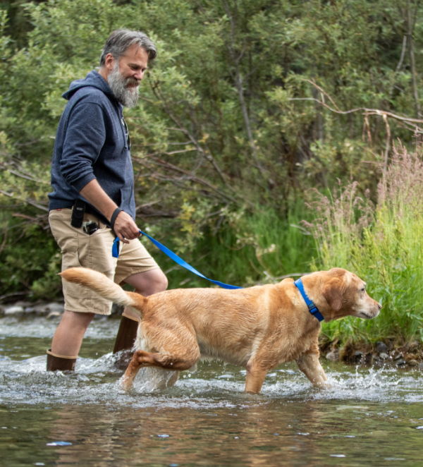 waterproof-collar-and-waterproof
