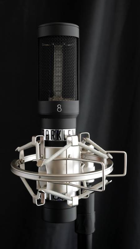 Barkley Infinity Ribbon Mic