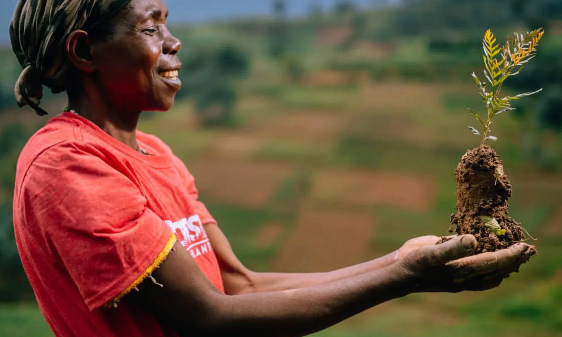 Photo from One Tree Planted Charity