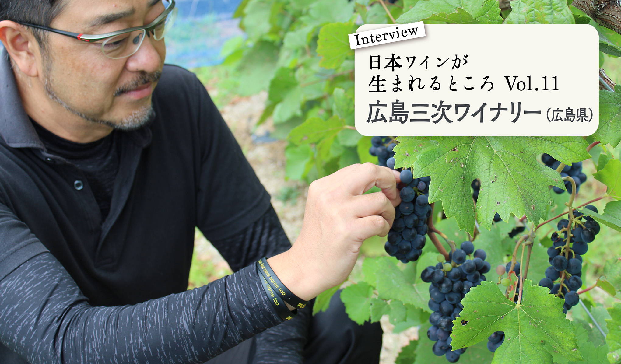 シリーズ・日本ワインが生まれるところ。広島『広島三次ワイナリー』にインタビュー！