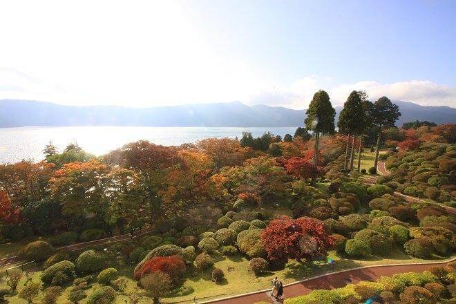 小田急山のホテル：宿泊者の特権！圧倒的な絶景紅葉スポット