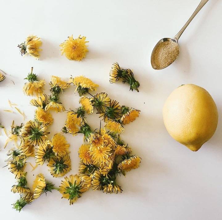 dandelion syrup recipe