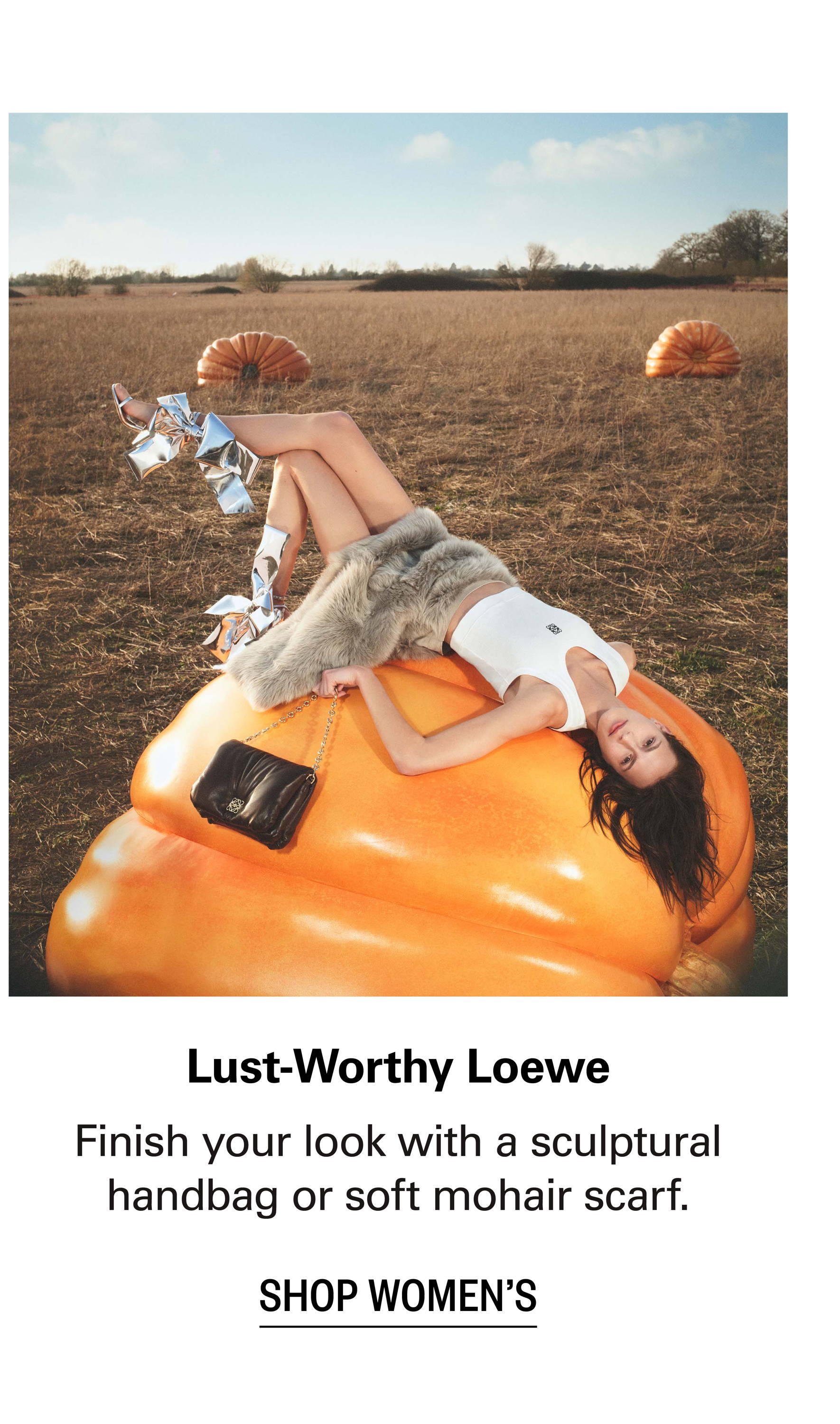 Shop LOEWE