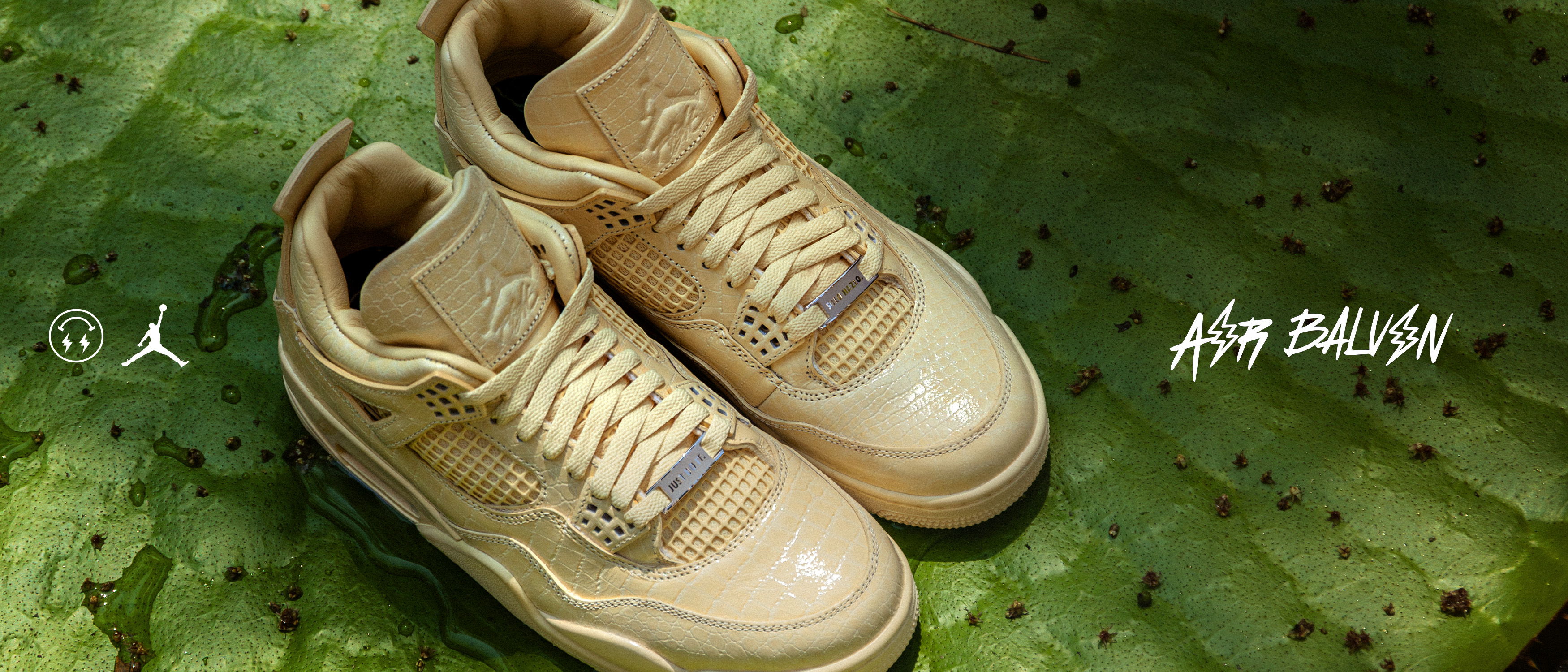 Tan sneakers on a green leaf background.