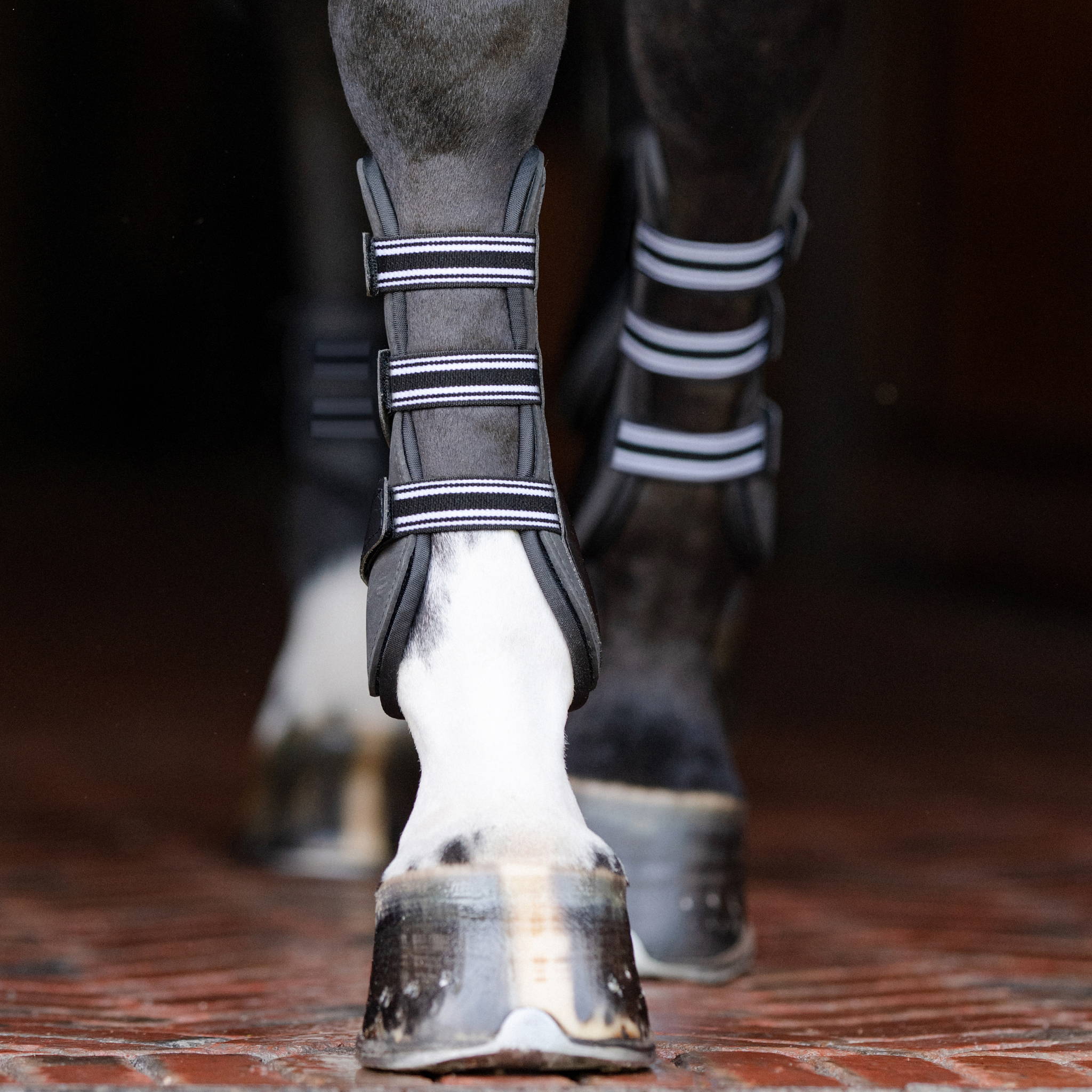 Essential: The Original Open Front Boot on a horse