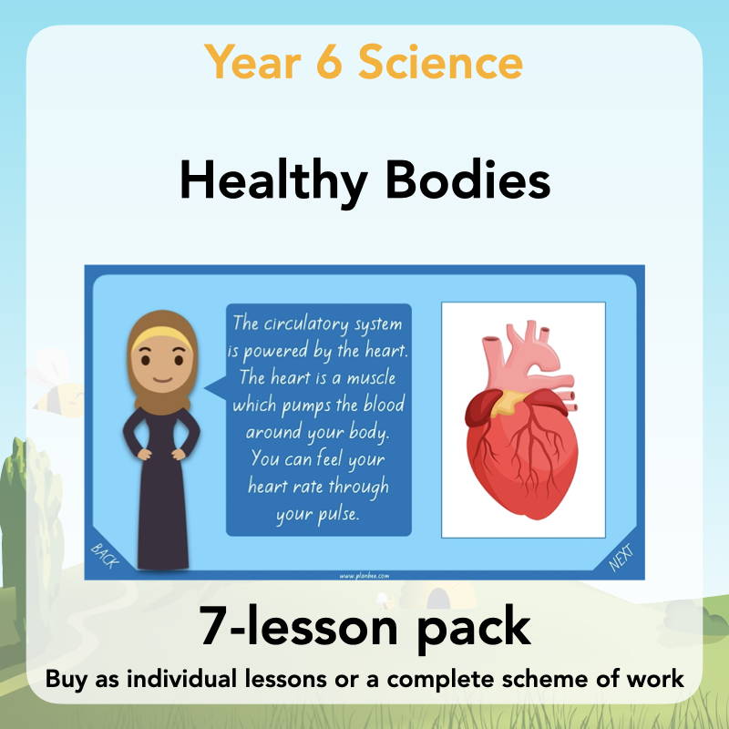 Year 6 Science Curriculum - Healthy Bodies