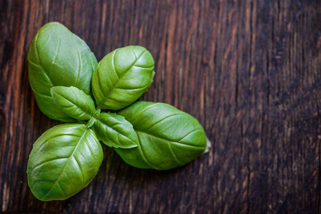 basil_dried