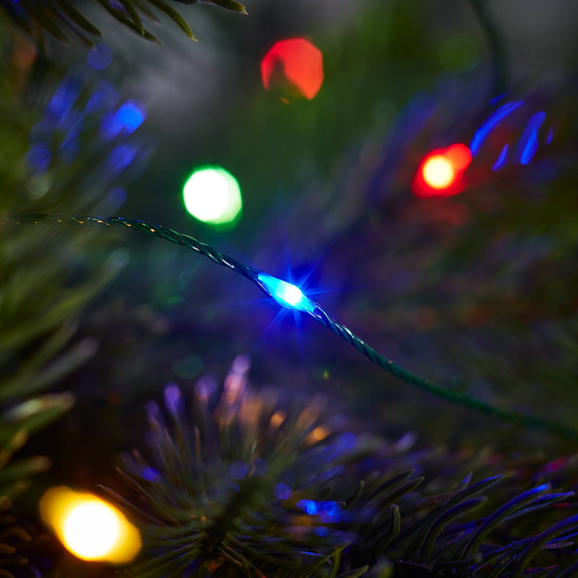 Close up of multicoloured lights on a tree.